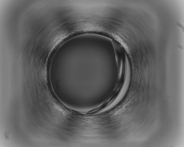 X0000091200391200708161619