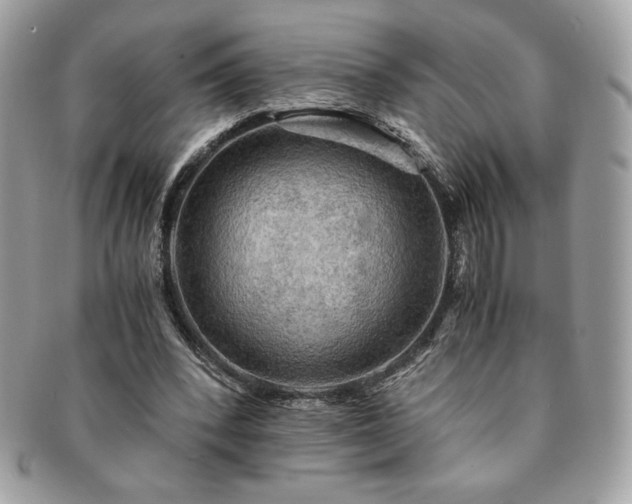 X0000091200392200708161619