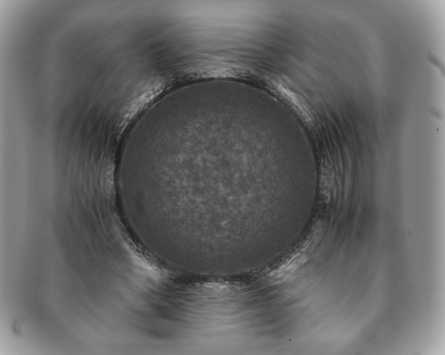 X0000091200394200708161619