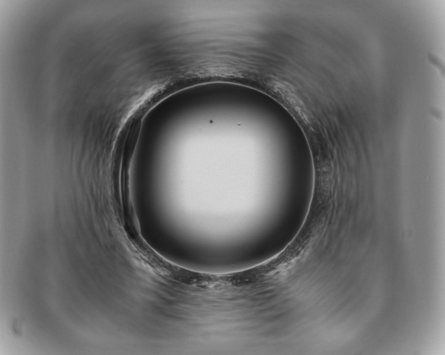 X0000091200395200708161619