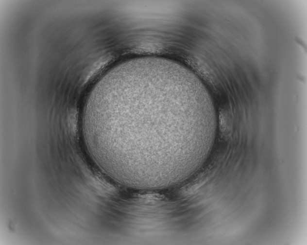 X0000091200396200708161619