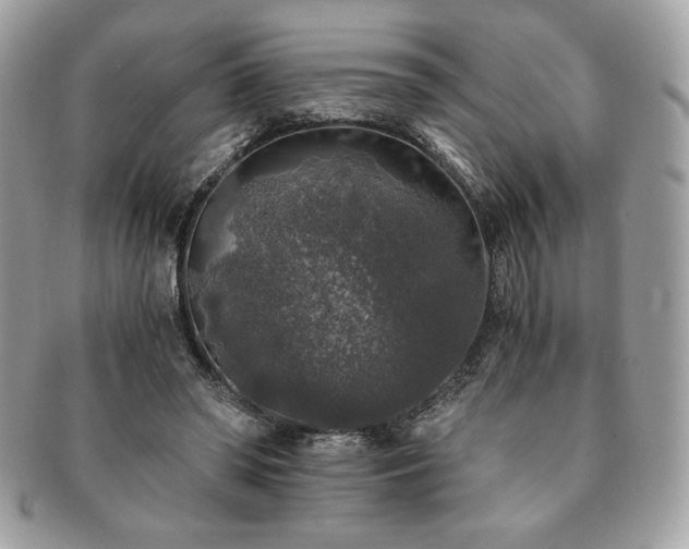 X0000091200398200708161619