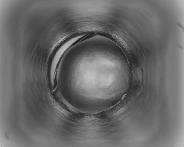 X0000091200399200708161619