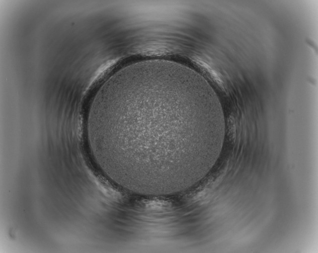 X0000091200400200708161619