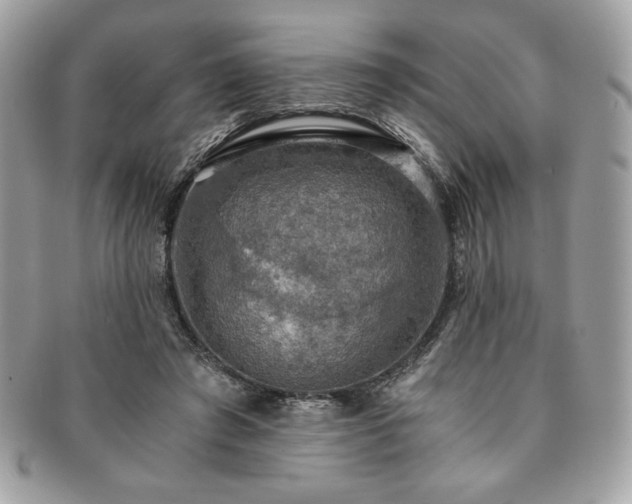 X0000091200401200708161619