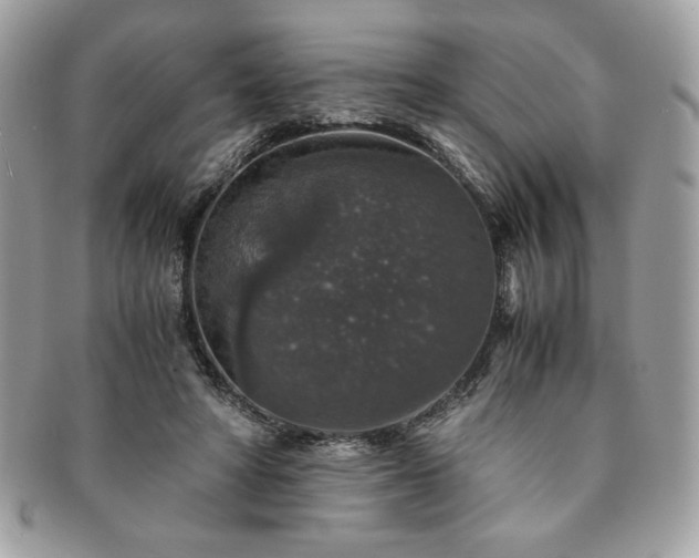 X0000091200402200708161619