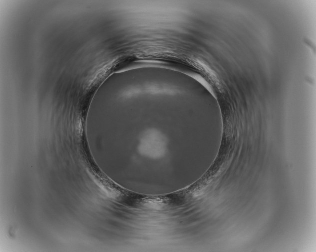 X0000091200405200708161619