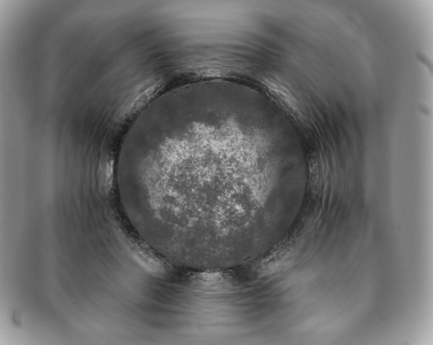 X0000091200406200708161619