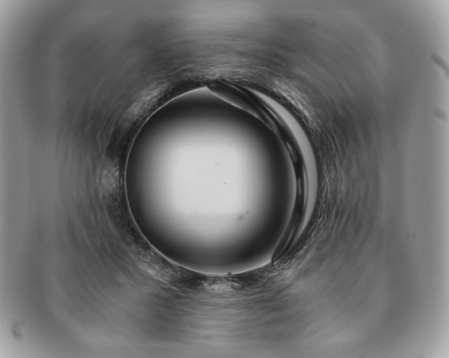 X0000091200407200708161619