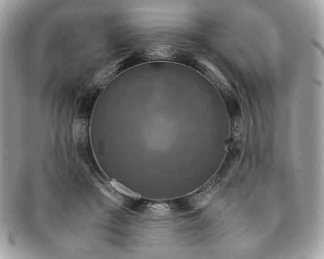 X0000091200409200708161619