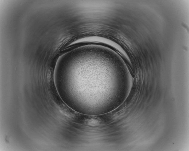 X0000091200412200708161618