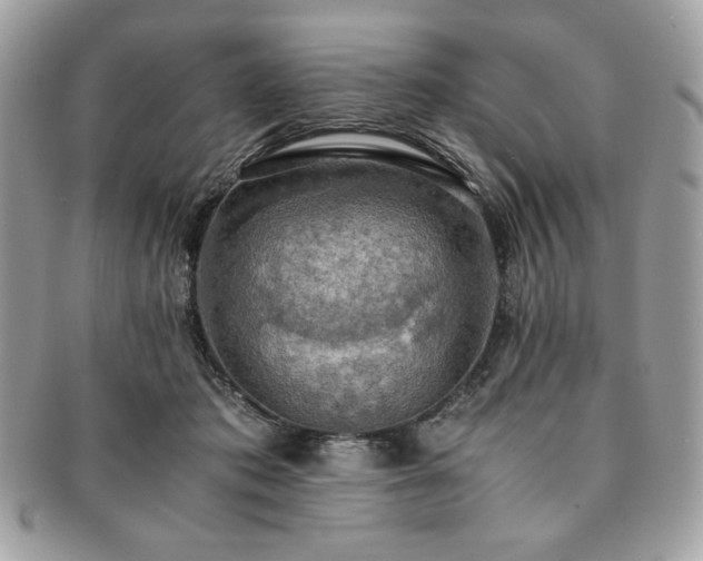 X0000091200413200708161618