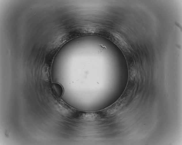 X0000091200414200708161618