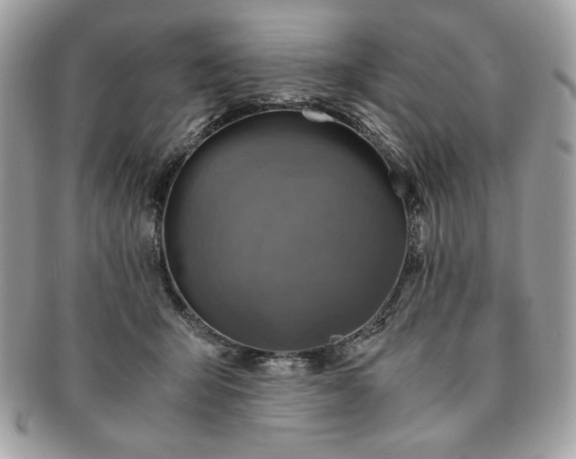 X0000091200415200708161618