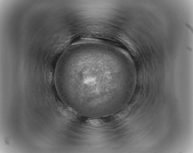 X0000091200417200708161618