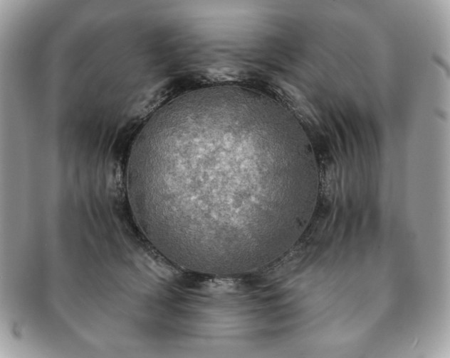 X0000091200418200708161618