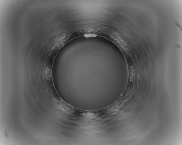 X0000091200419200708161618