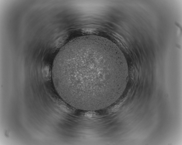 X0000091200420200708161618
