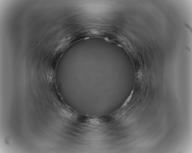 X0000091200423200708161618