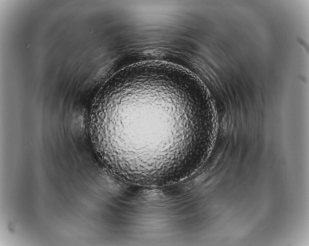 X0000091200424200708161618