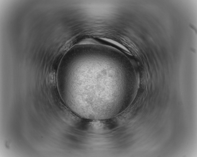 X0000091200425200708161618