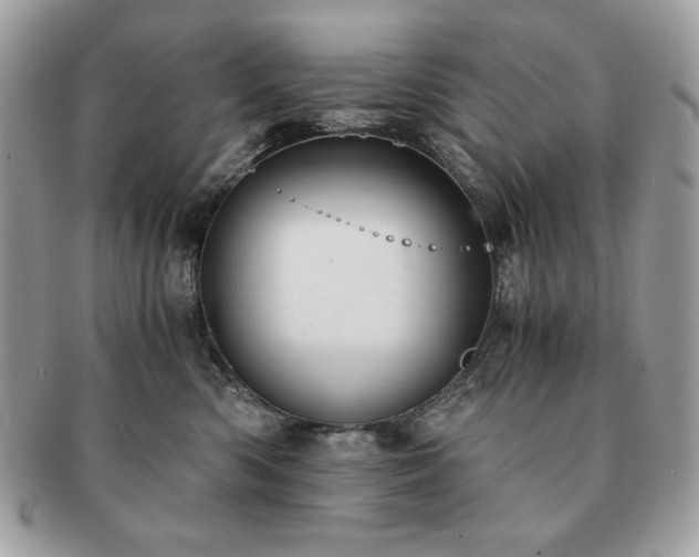 X0000091200426200708161618