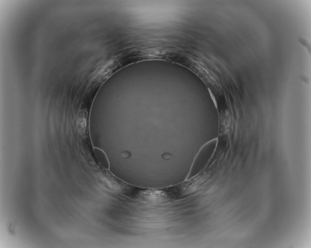 X0000091200427200708161618