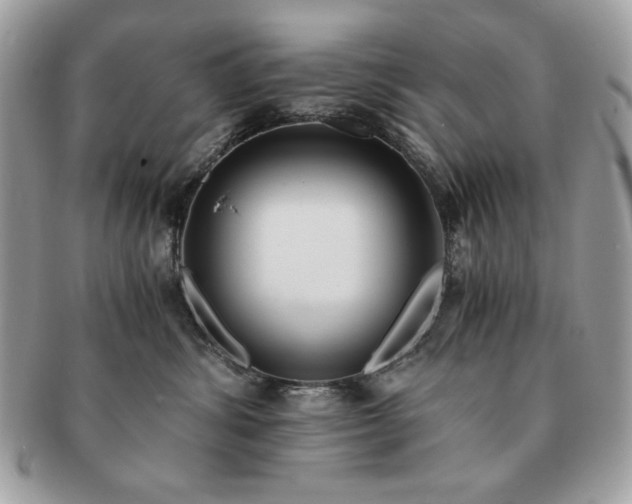 X0000091200428200708161618