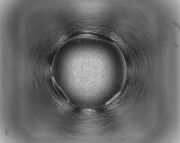 X0000091200429200708161618