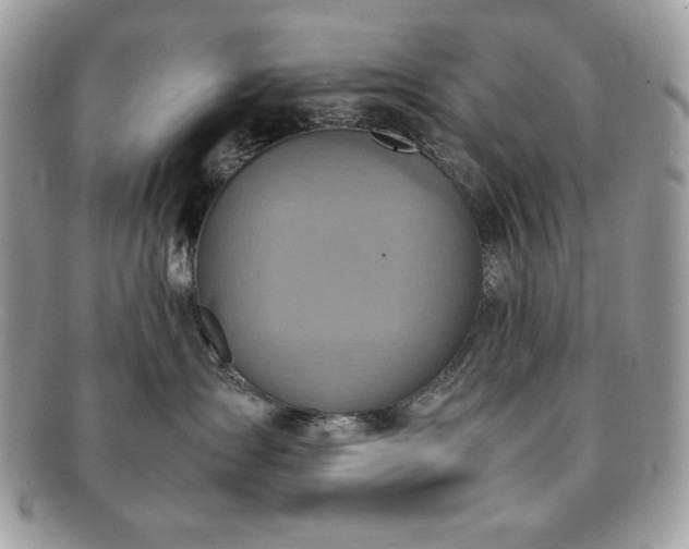 X0000091200431200708161618