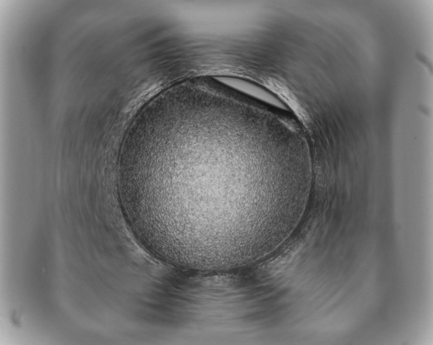 X0000091200433200708161617
