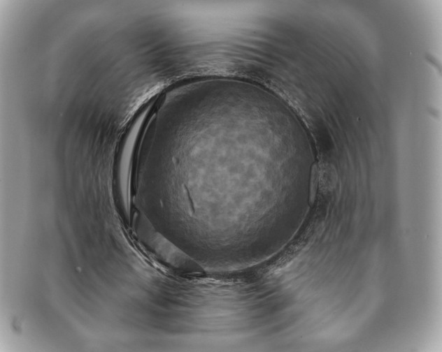 X0000091200434200708161617