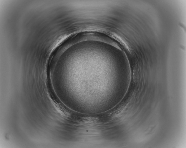 X0000091200436200708161617