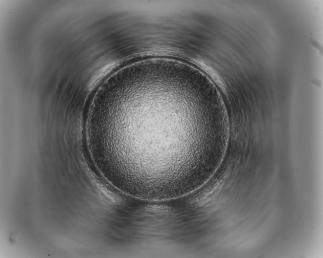 X0000091200437200708161617