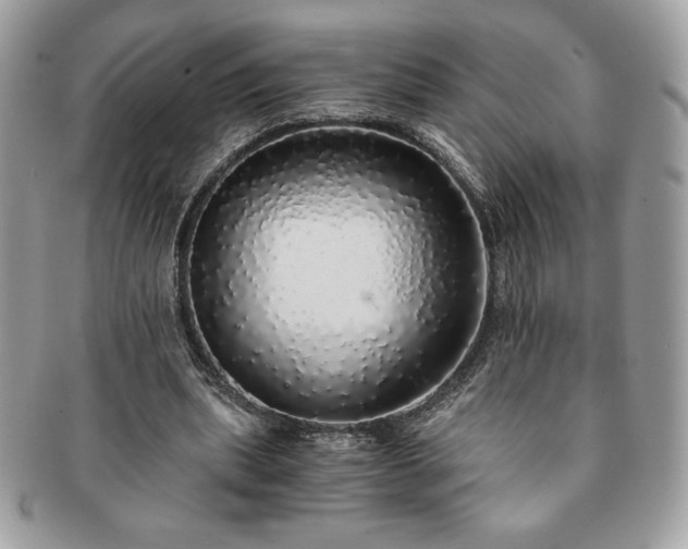 X0000091200439200708161617