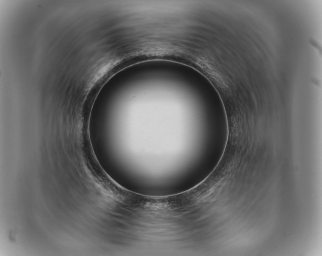 X0000091200440200708161617
