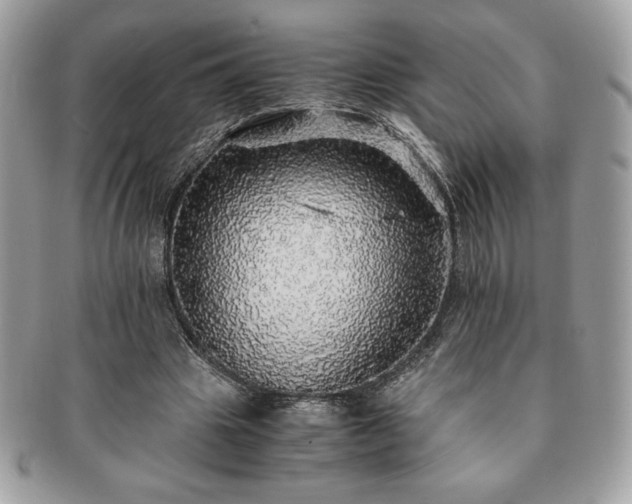X0000091200441200708161617