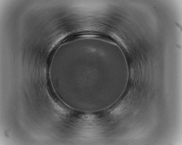 X0000091200444200708161618