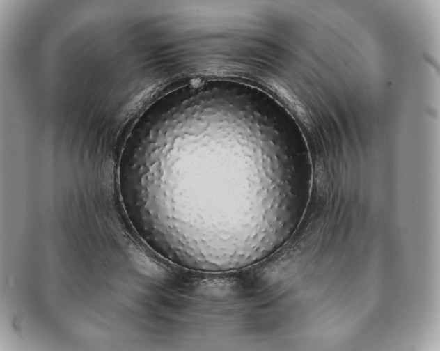 X0000091200445200708161618