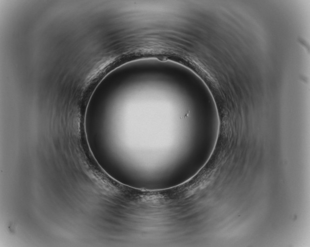 X0000091200446200708161618