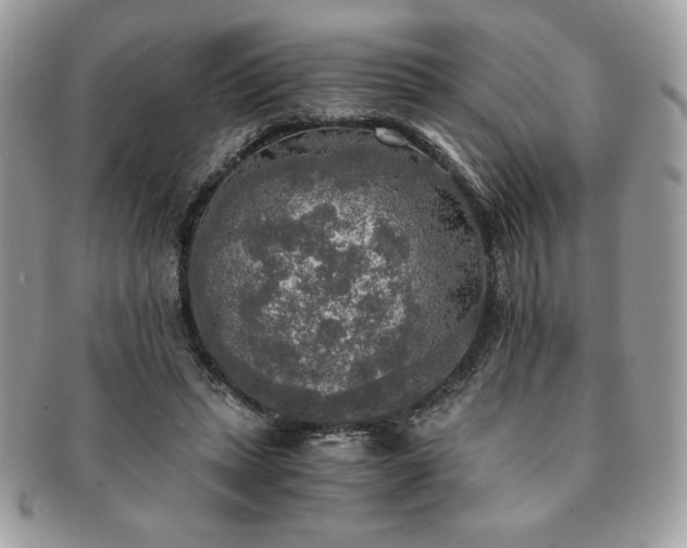 X0000091200447200708161618