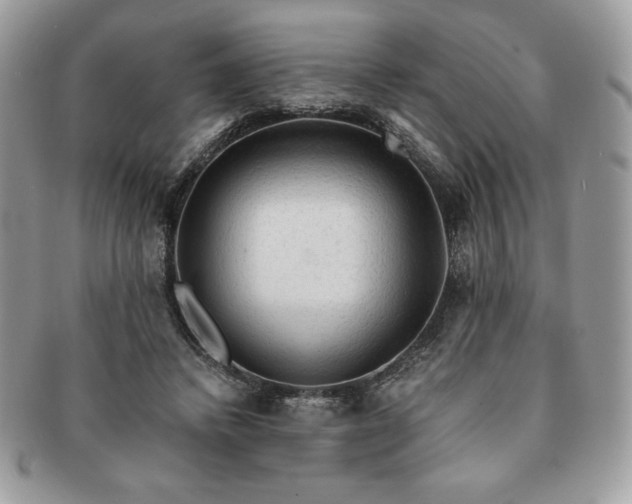 X0000091200448200708161618
