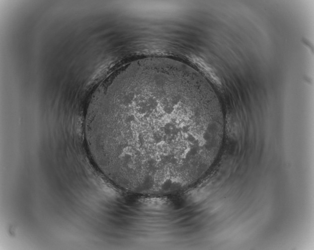 X0000091200449200708161618