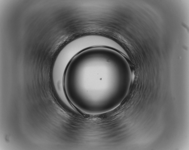 X0000091200452200708161618