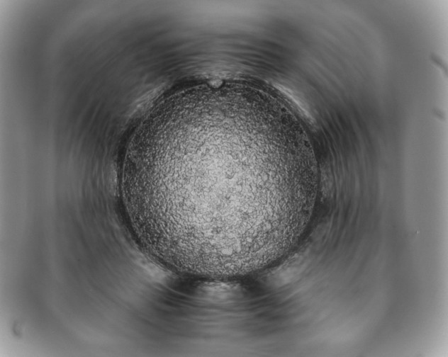 X0000091200453200708161618