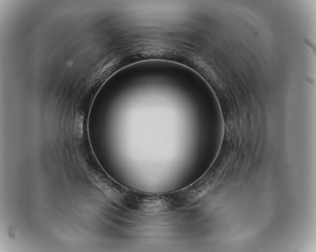 X0000091200454200708161618