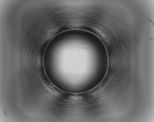 X0000091200455200708161618