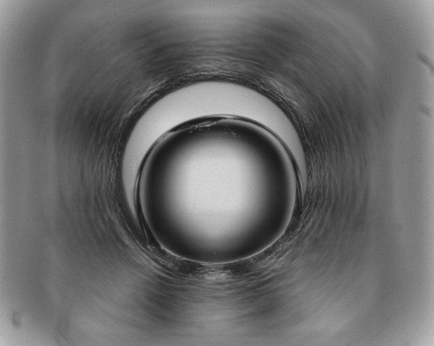X0000091200456200708161618