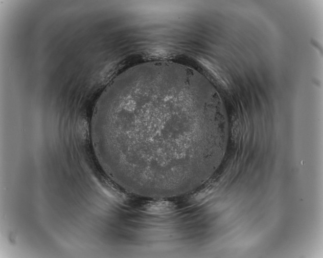 X0000091200459200708161618