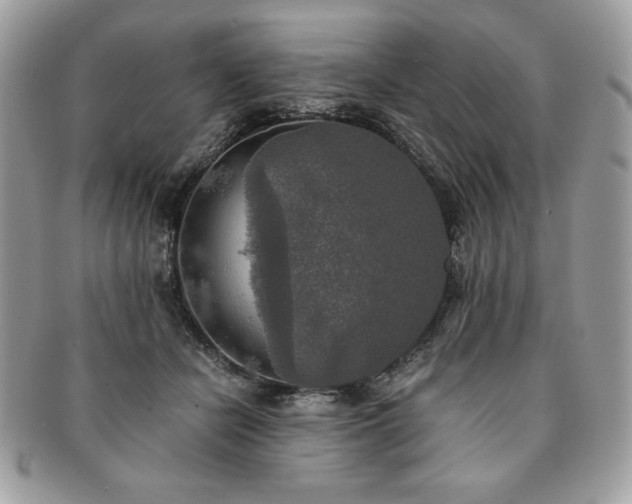 X0000091200462200708161618